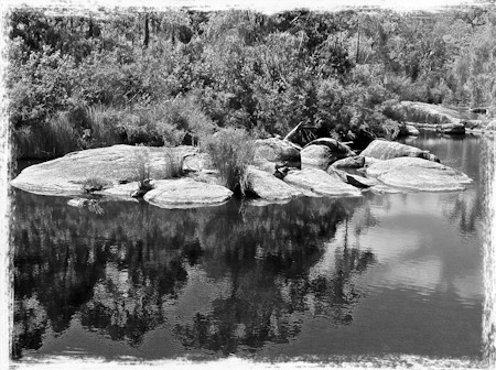Land, Nature, Outdoors, Pond, Rock, Sea, Tree, Vegetation, Water, Woodland